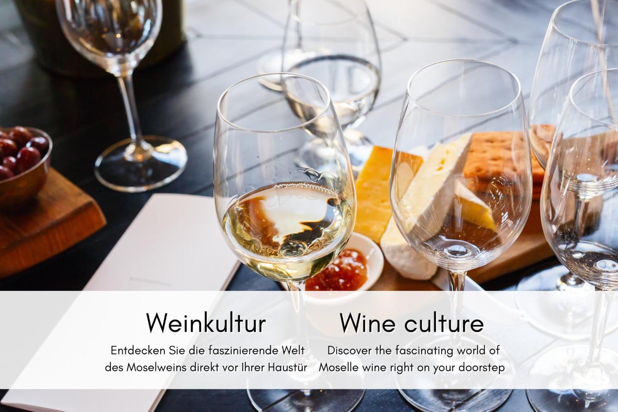 Appartamento Winzerhaus Am Calmont - Charme & Moselblick Bremm Esterno foto