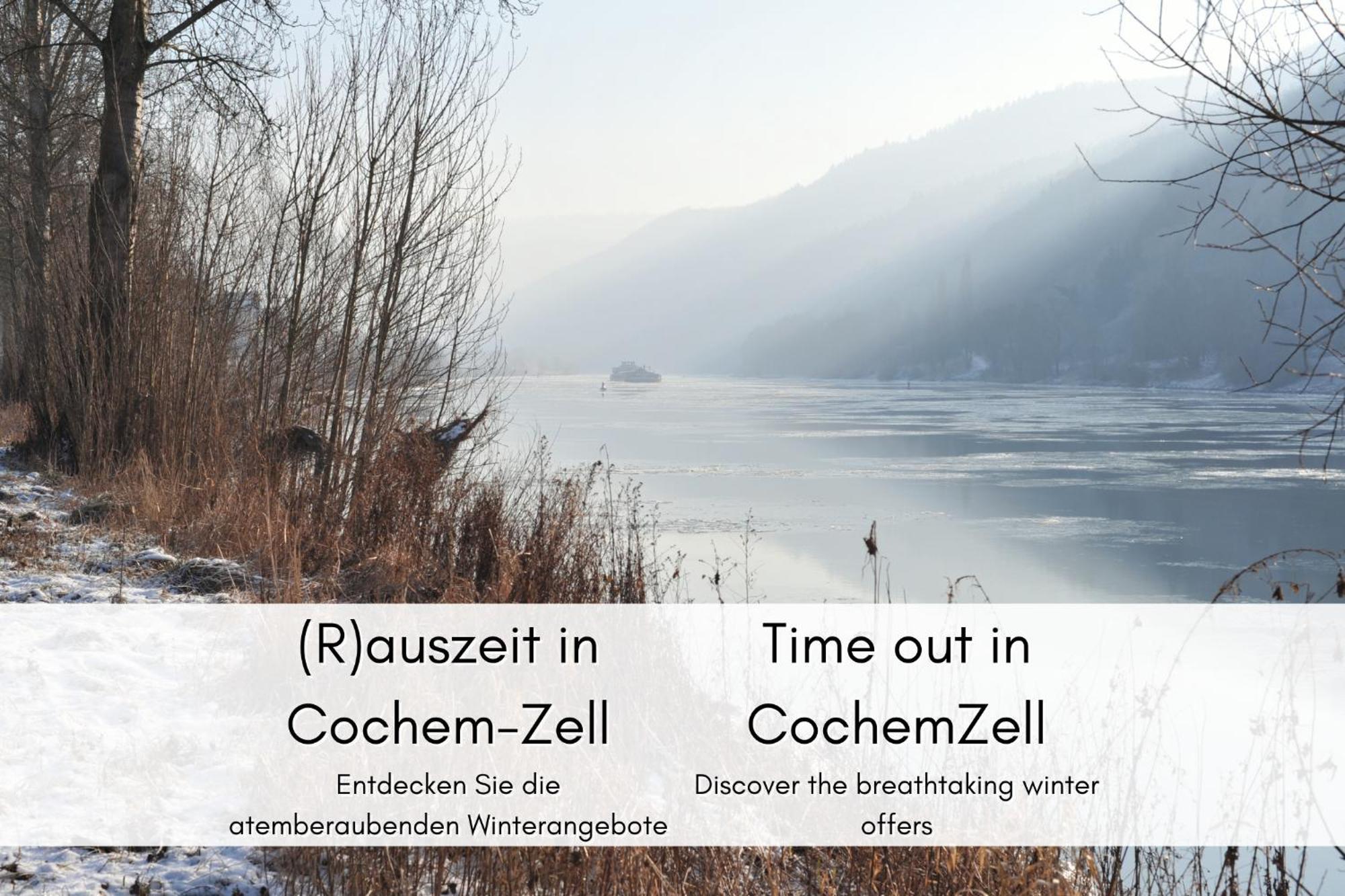 Appartamento Winzerhaus Am Calmont - Charme & Moselblick Bremm Esterno foto